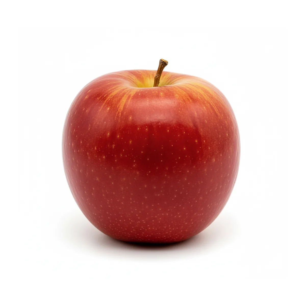 /media/produkte/108000-sm.webp