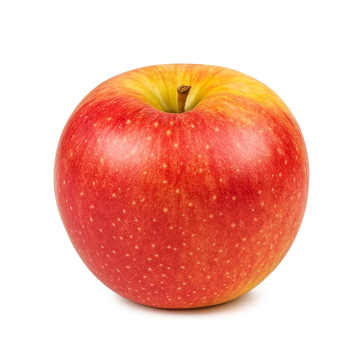 /media/produkte/124500-sm.webp