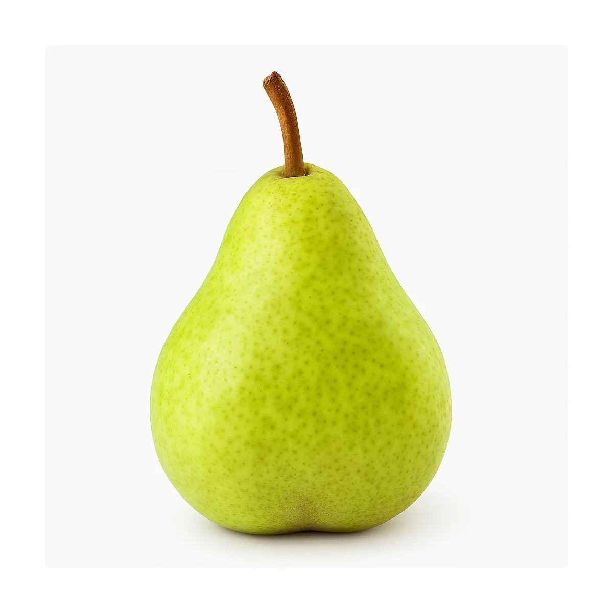 /media/produkte/157000-sm.webp