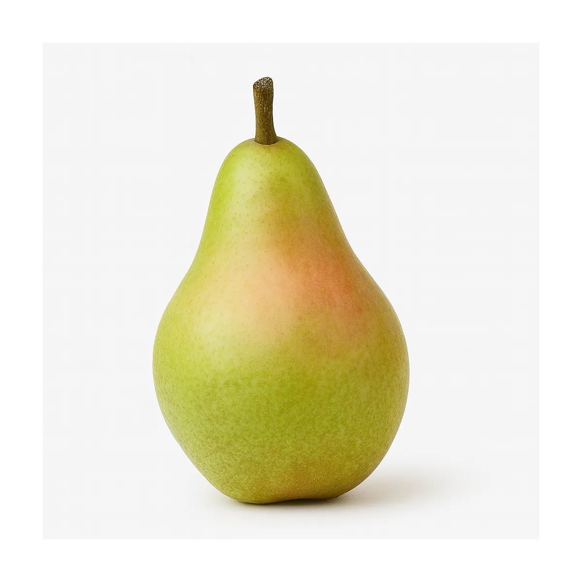 /media/produkte/158000-sm.webp