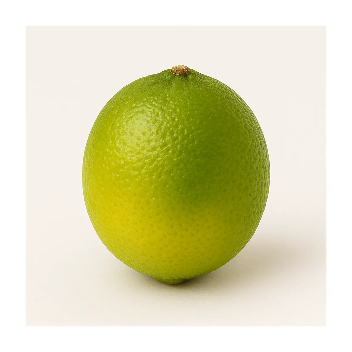 /media/produkte/245250-sm.webp