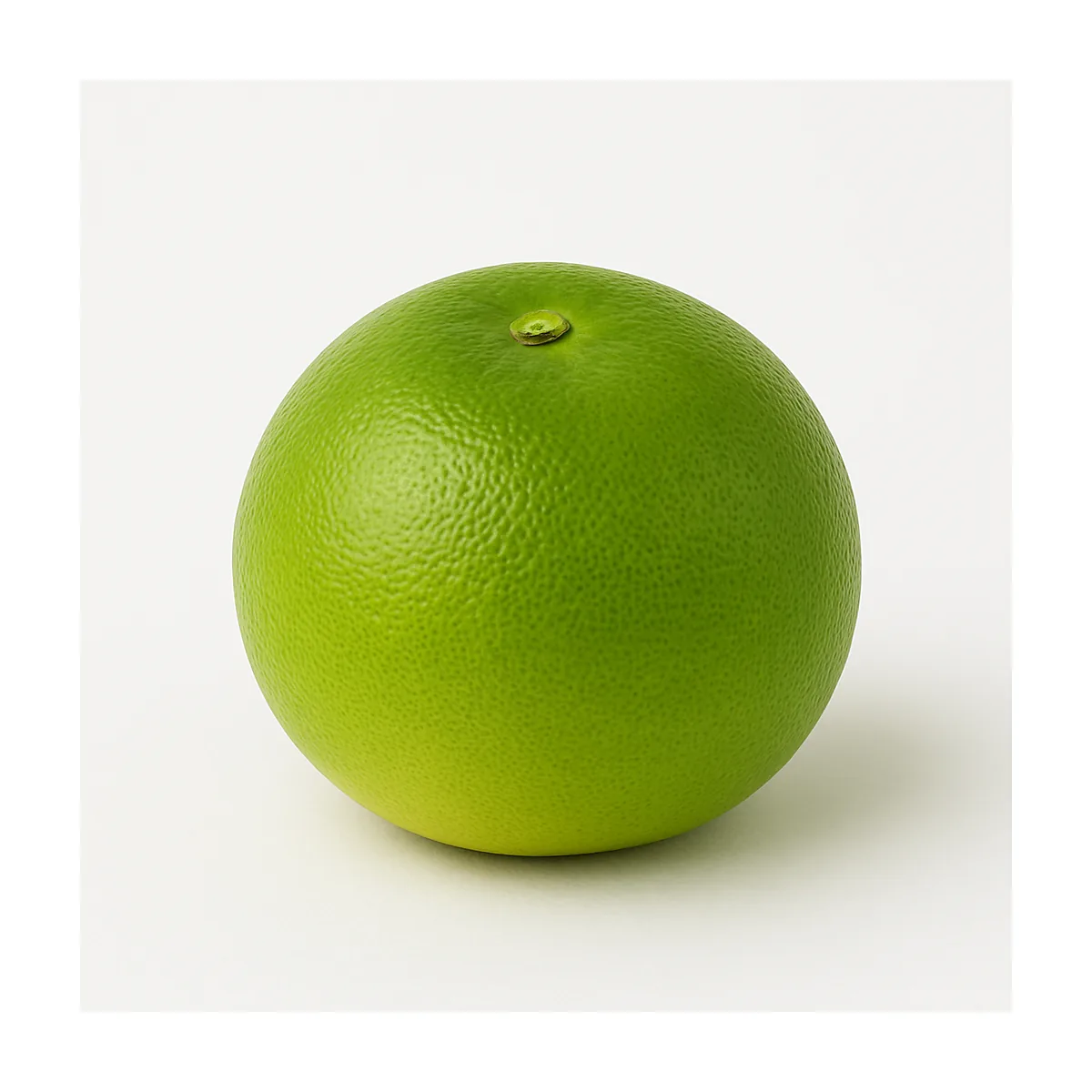 /media/produkte/248000-sm.webp