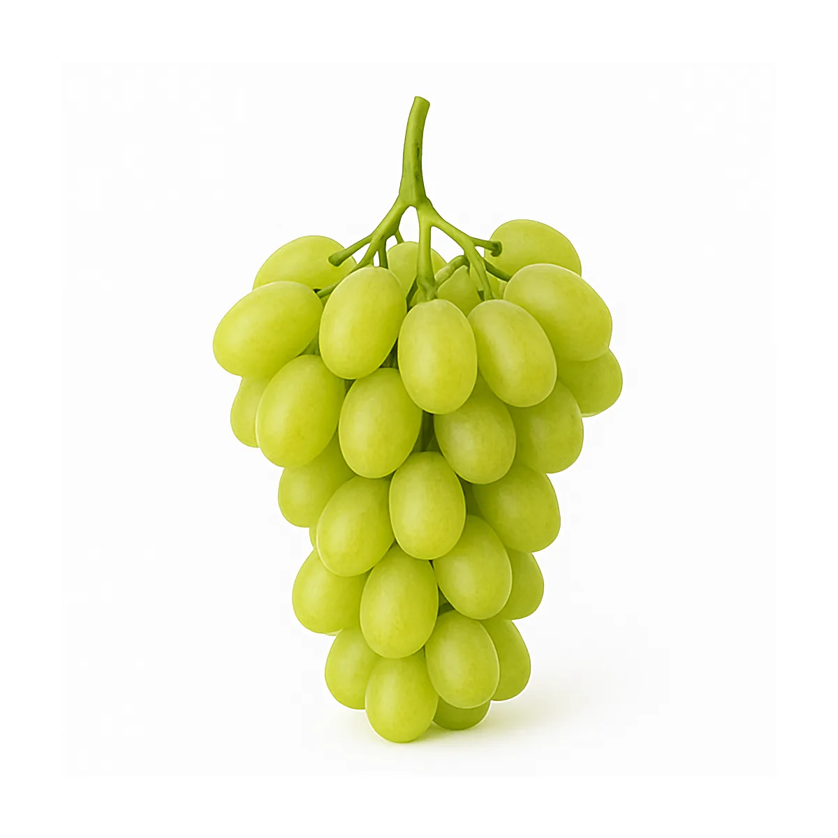 /media/produkte/303000-sm.webp
