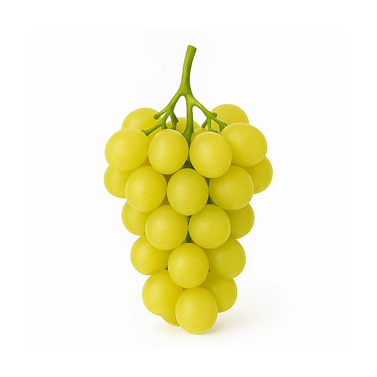 /media/produkte/304000-sm.webp