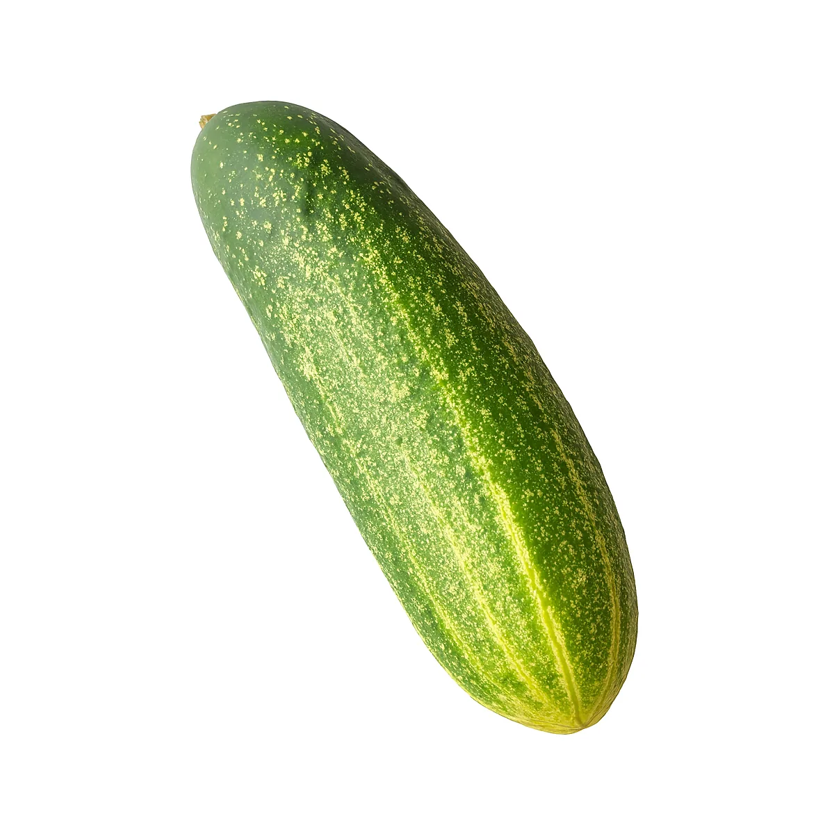 /media/produkte/425000-sm.webp