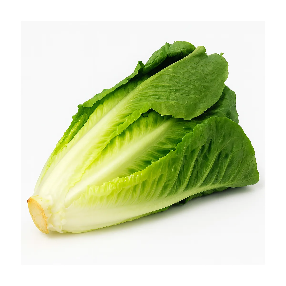 /media/produkte/515000-sm.webp