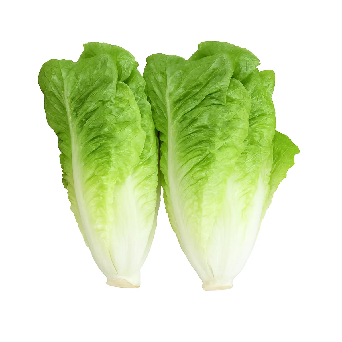 /media/produkte/516000-sm.webp