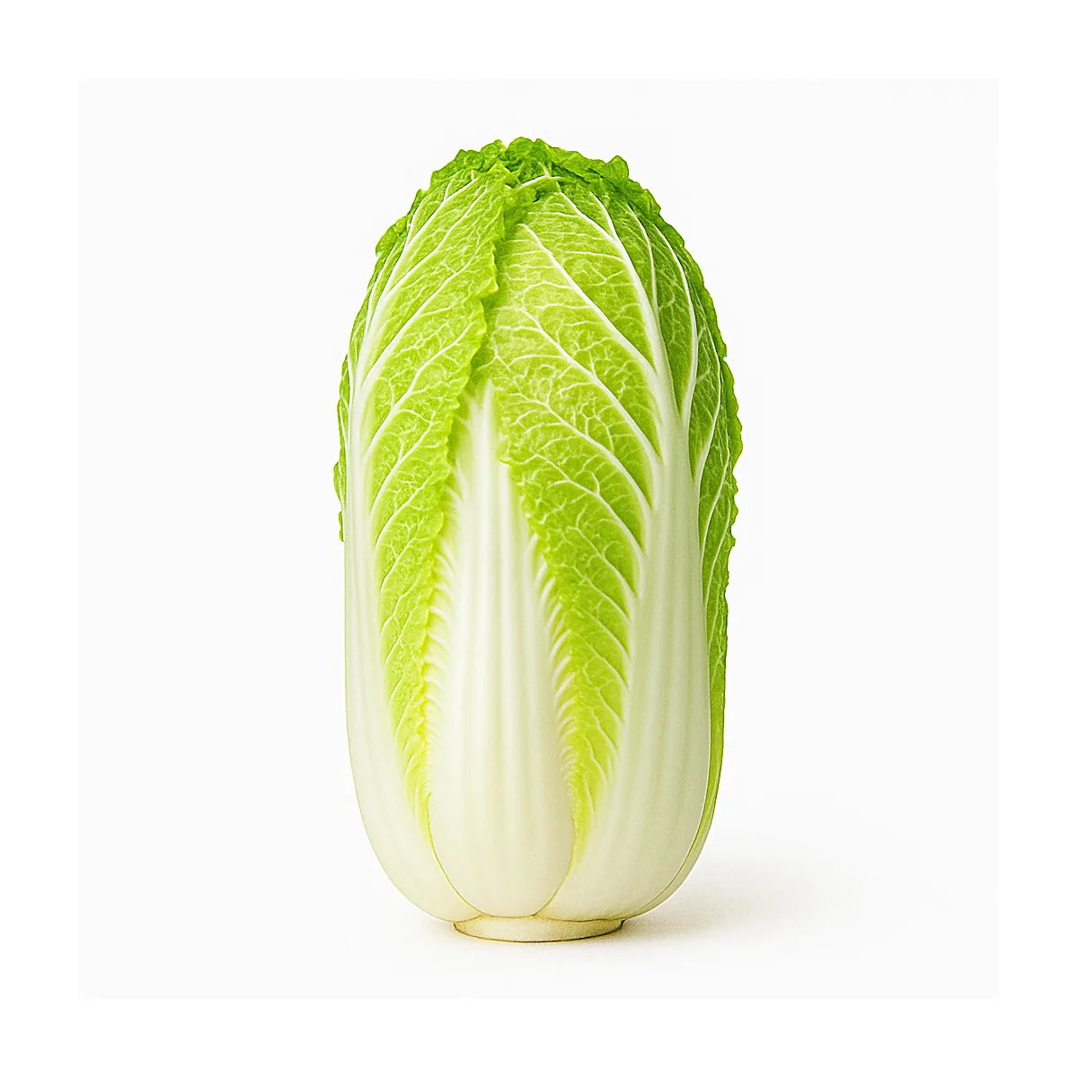 /media/produkte/602800-sm.webp