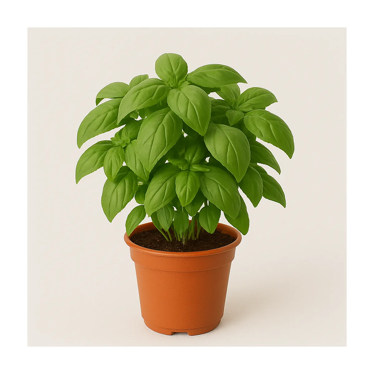 /media/produkte/871800-sm.webp